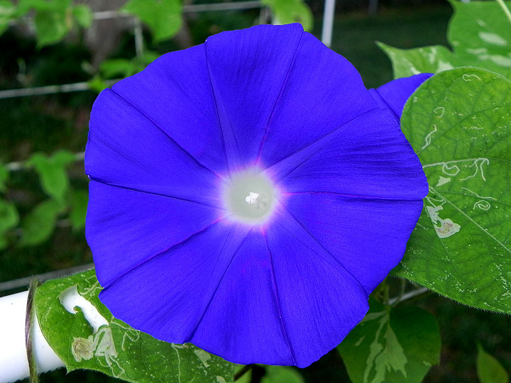 DSCN5116_01
