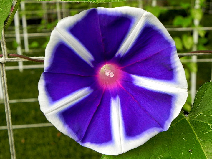 DSCN5168_01