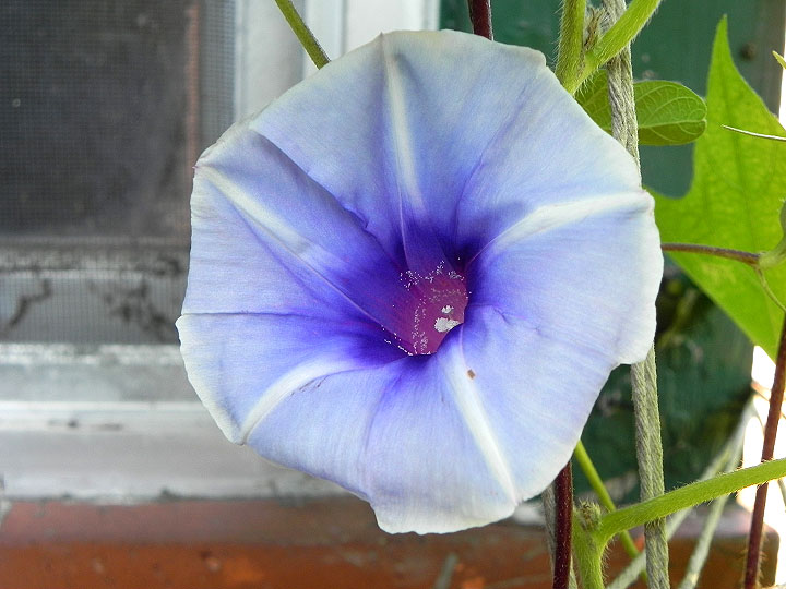 DSCN5222