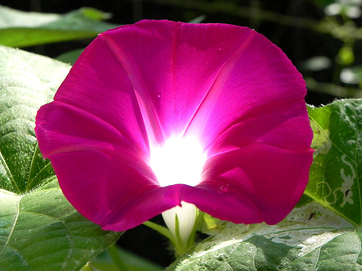 DSCN5248