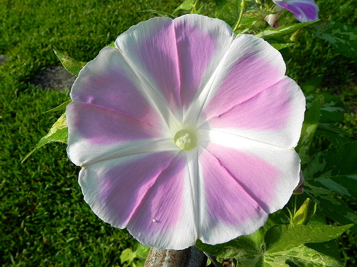 DSCN5277_01