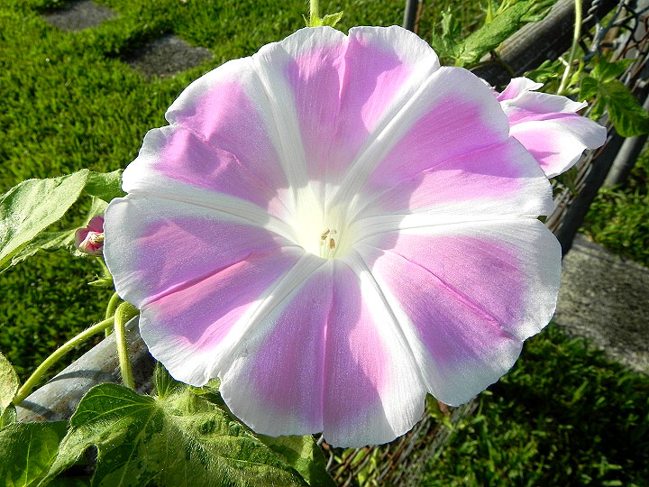 DSCN5280
