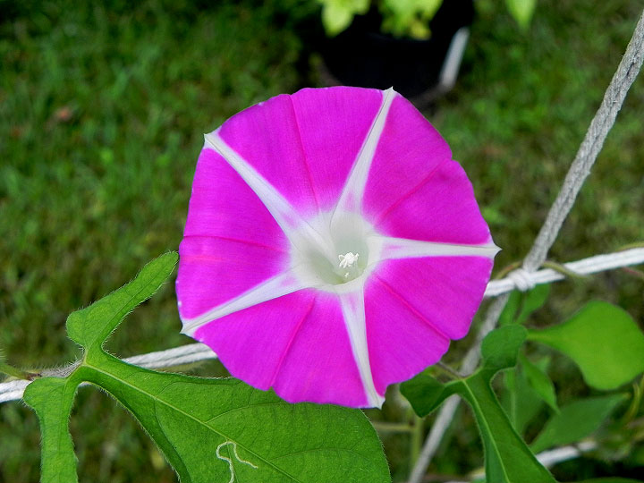 DSCN5433_01