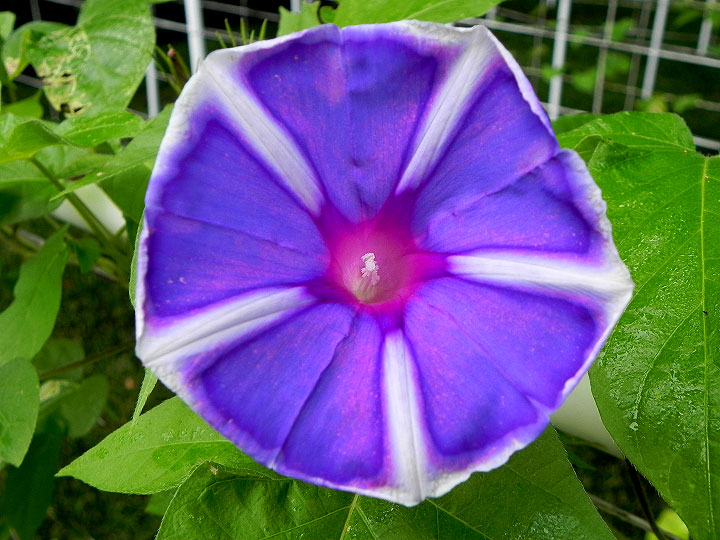 DSCN5436_01
