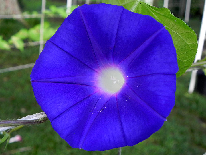 DSCN5548_01