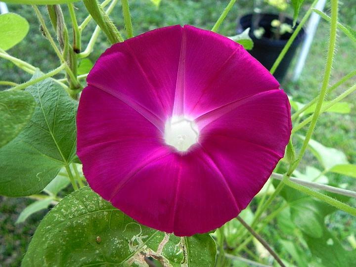 DSCN5653