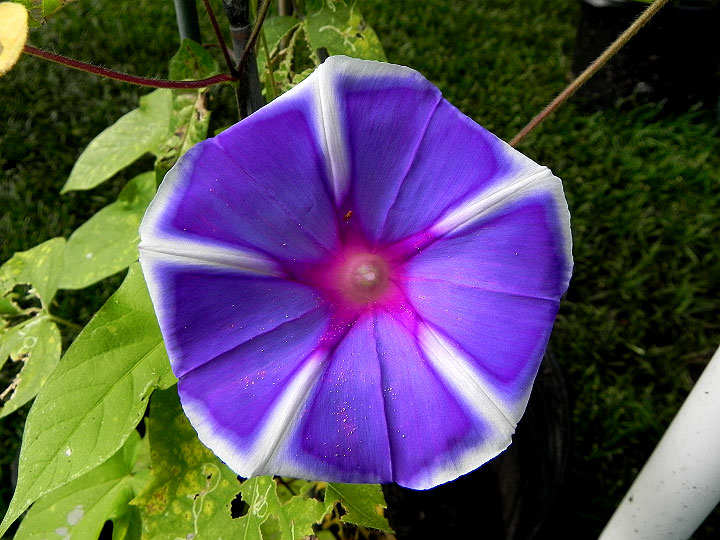 DSCN5665_01