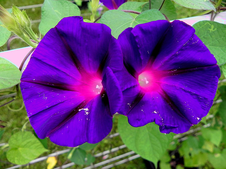 DSCN5719
