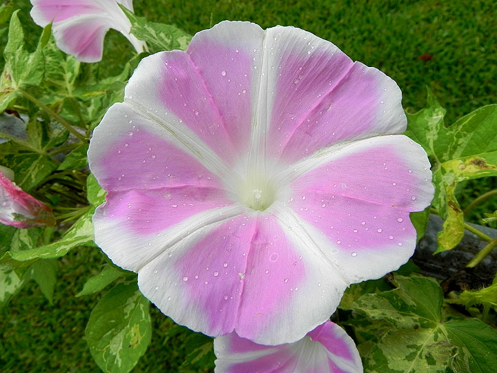 DSCN5734_01