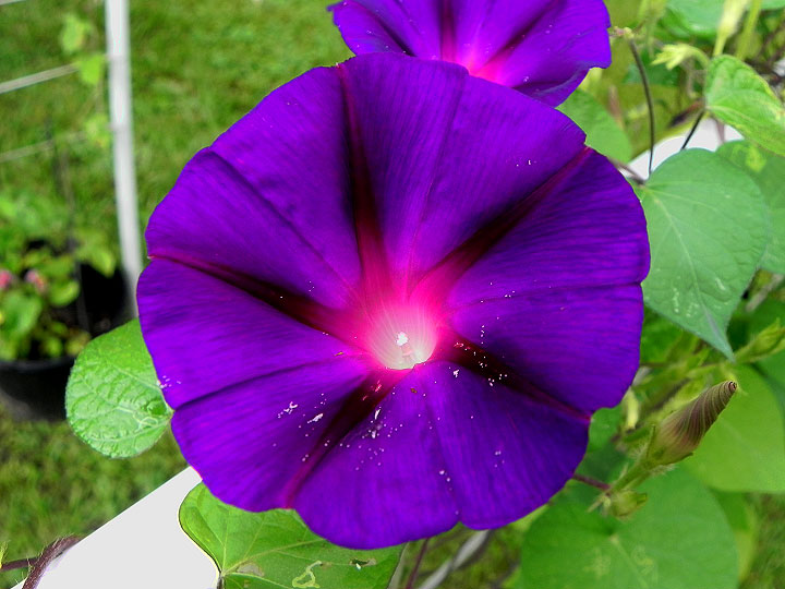 DSCN5782