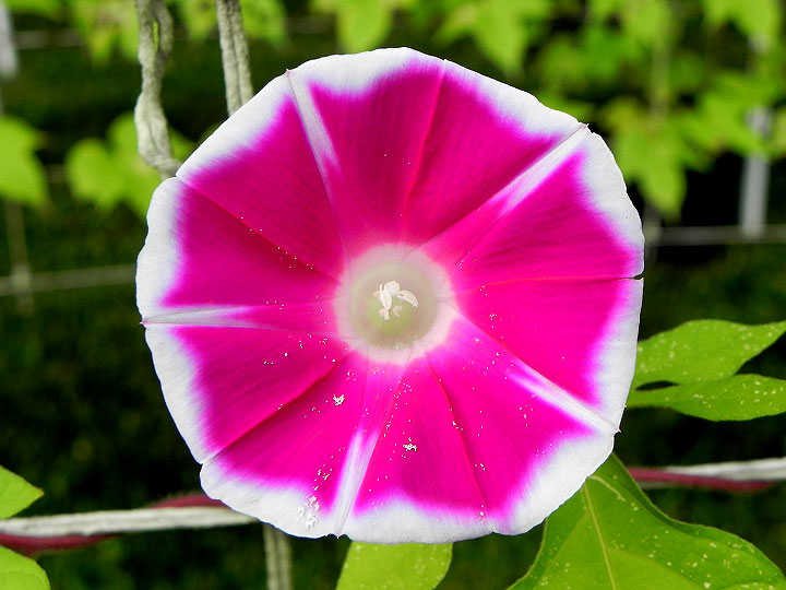 DSCN5959