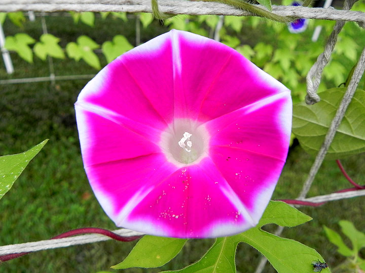 DSCN6012_01