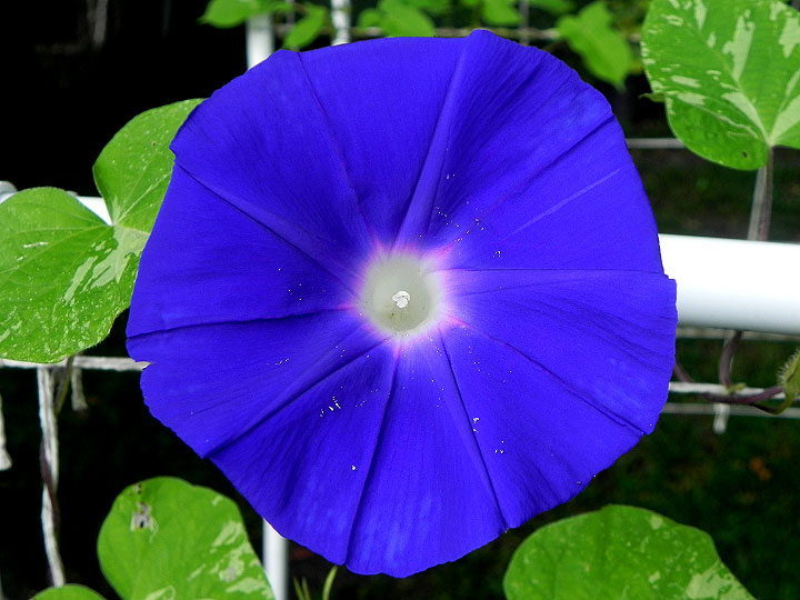 DSCN6185_01