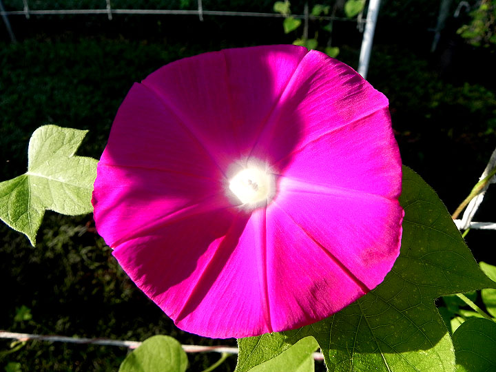 DSCN6191_01