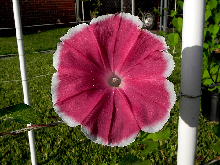 DSCN6212_01