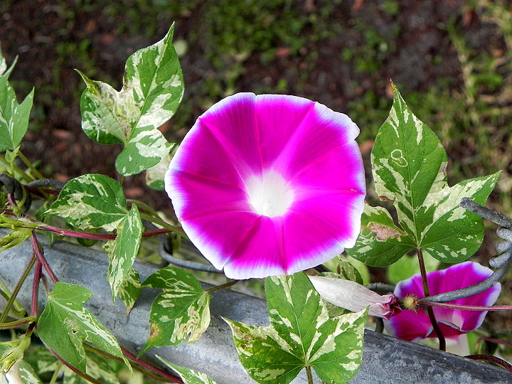 DSCN6228_01