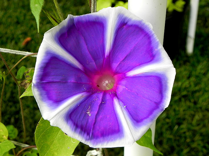 DSCN6255