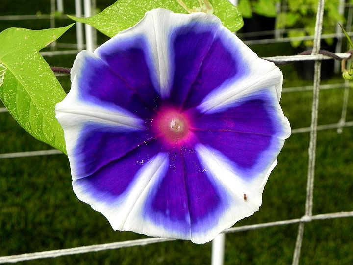 DSCN6257
