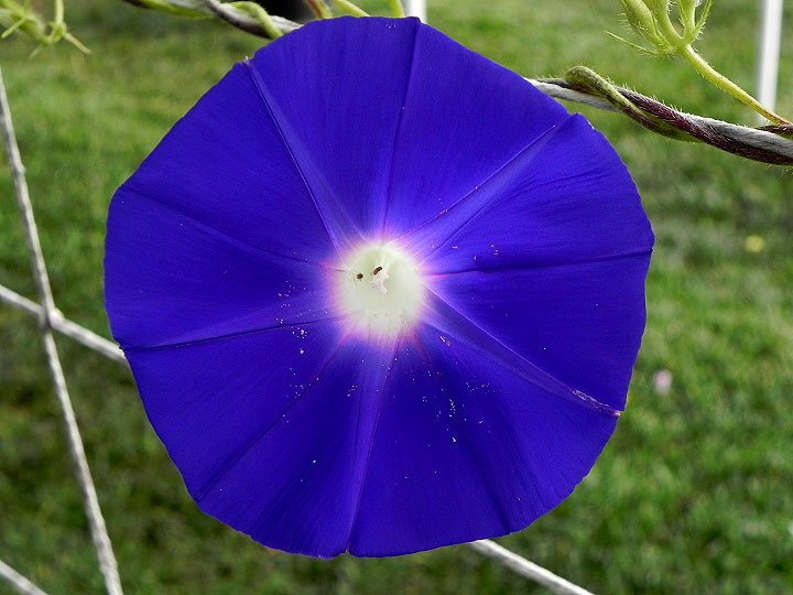 DSCN6262