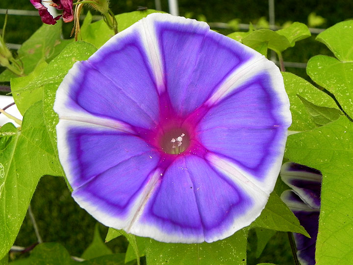 DSCN6339