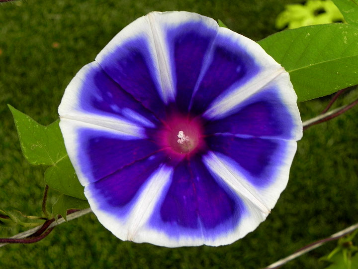 DSCN6341