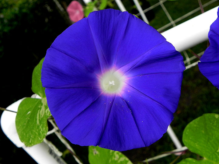 DSCN6346
