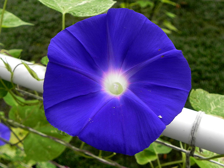 DSCN6348_01