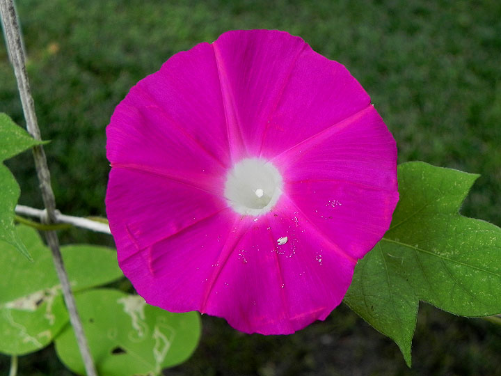 DSCN6355