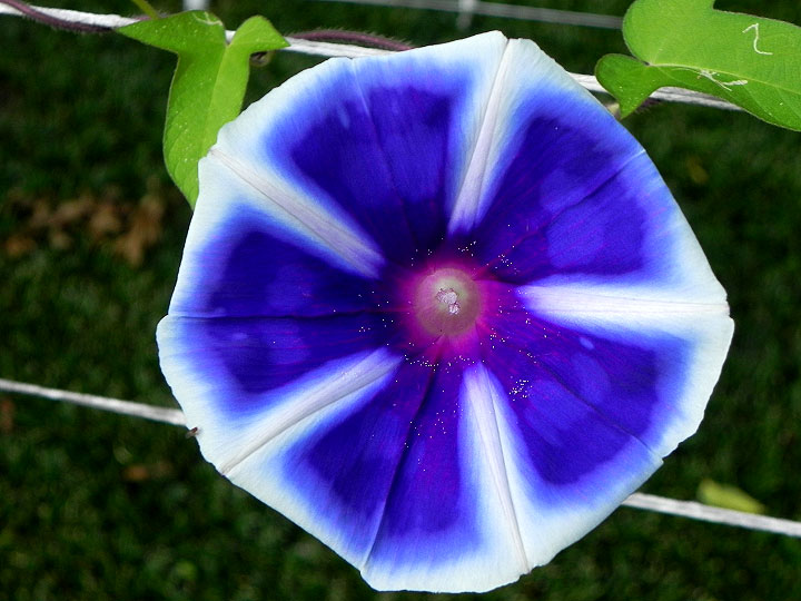 DSCN6499