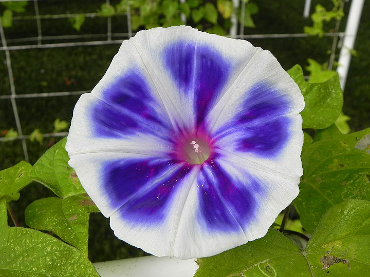 DSCN6556_01