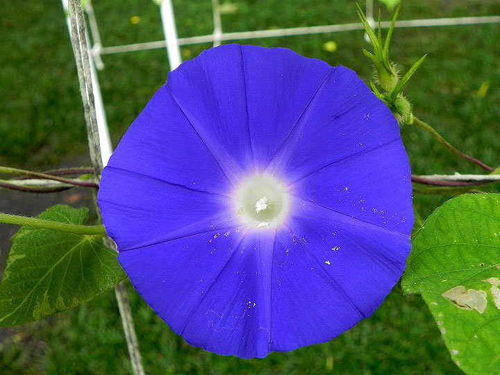 DSCN6627