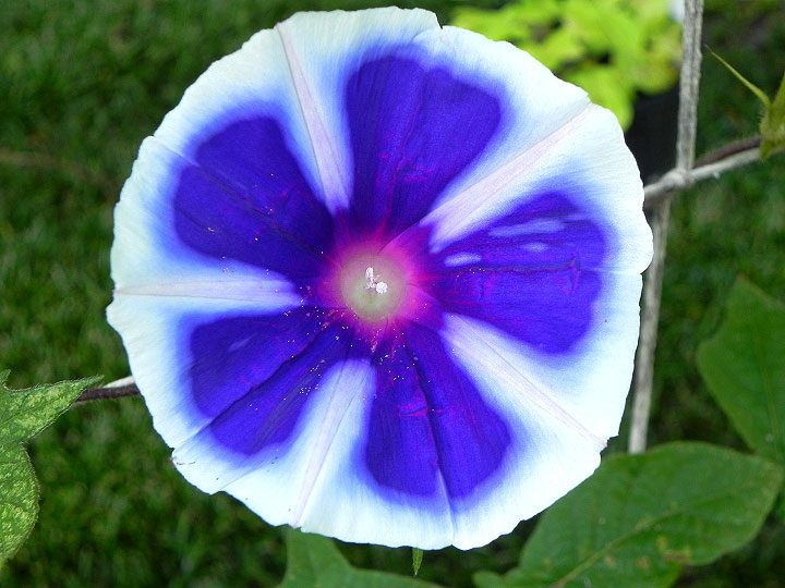 DSCN6680