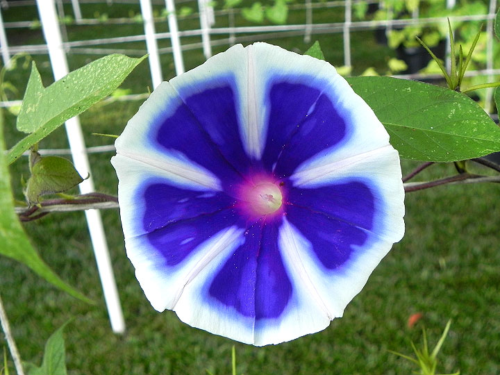 DSCN6743
