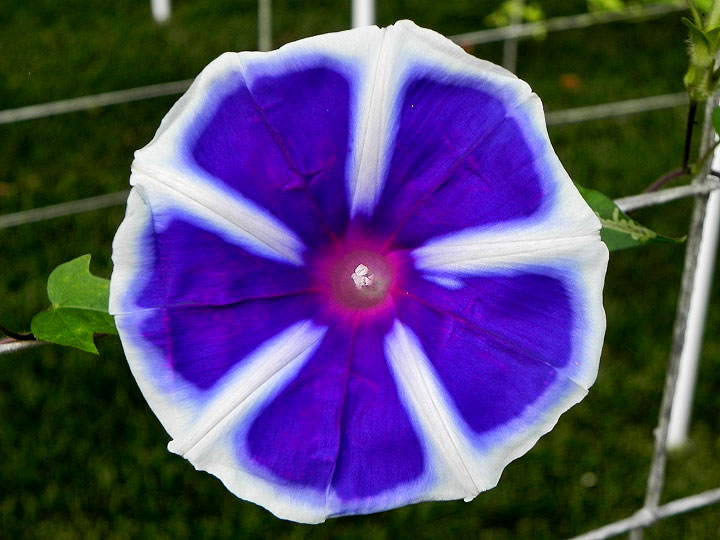 DSCN6873
