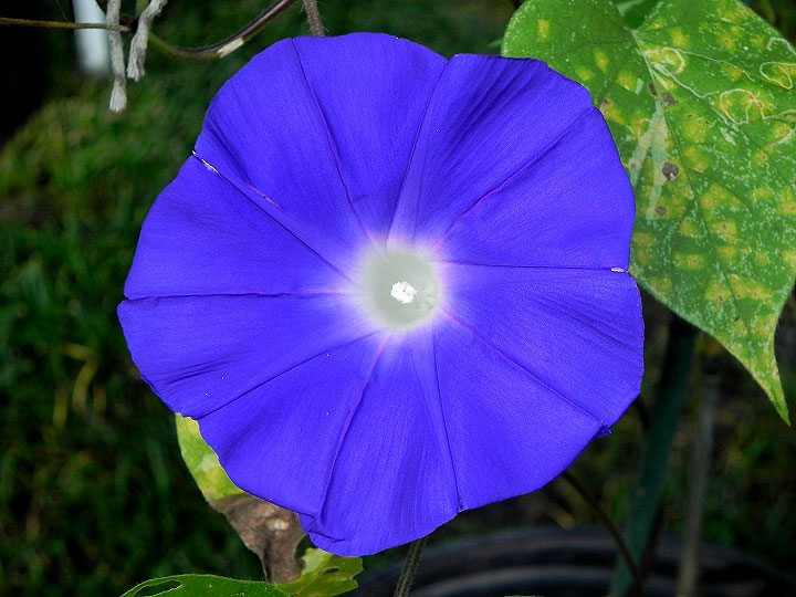 DSCN6876