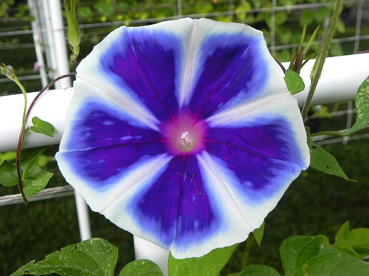 DSCN7037_01