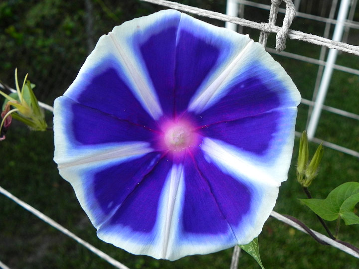DSCN7038