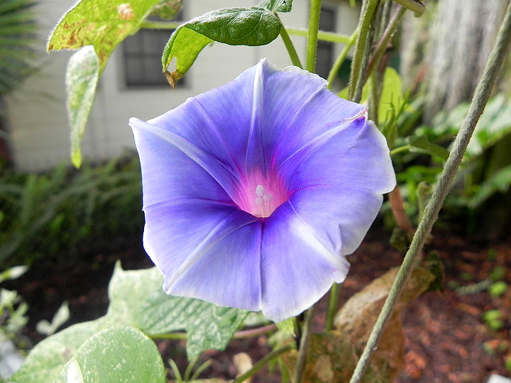 DSCN7060_01