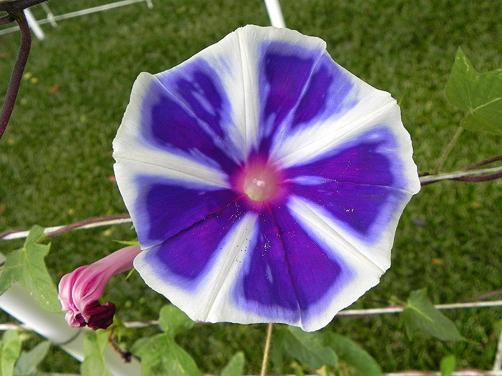 DSCN7082_01
