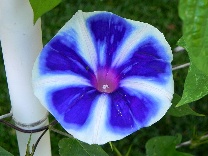 DSCN7139