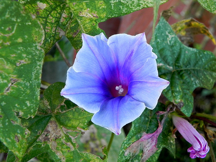 DSCN7261_01