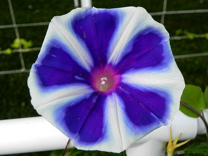 DSCN7282_01