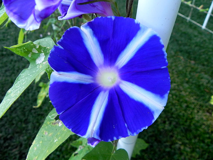 DSCN7408