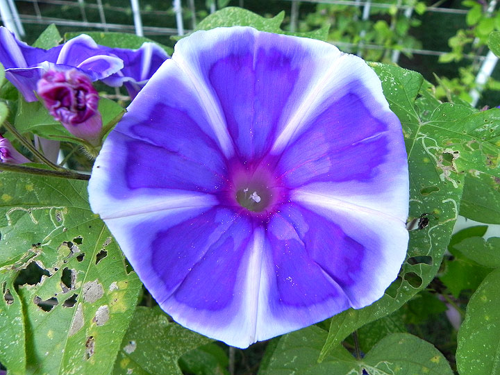 DSCN7409
