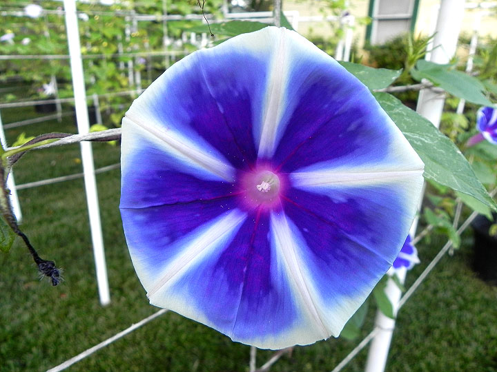 DSCN7411