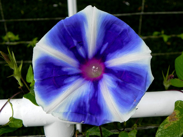 DSCN7482
