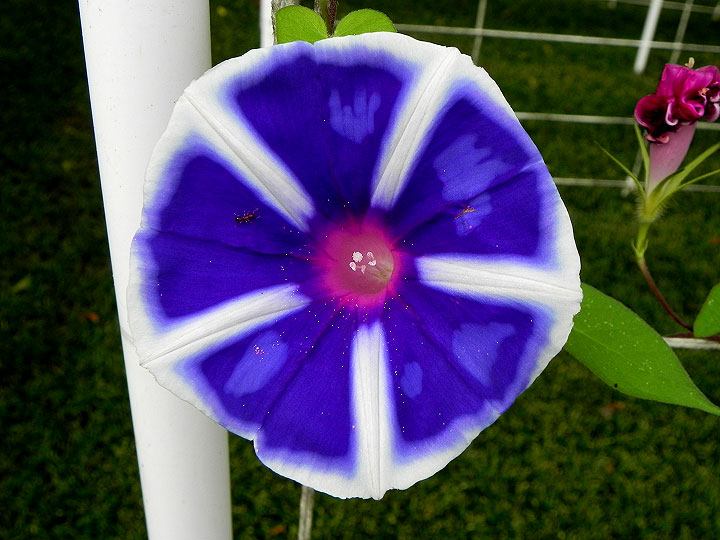DSCN7601