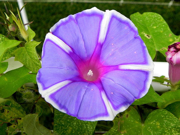 DSCN7605