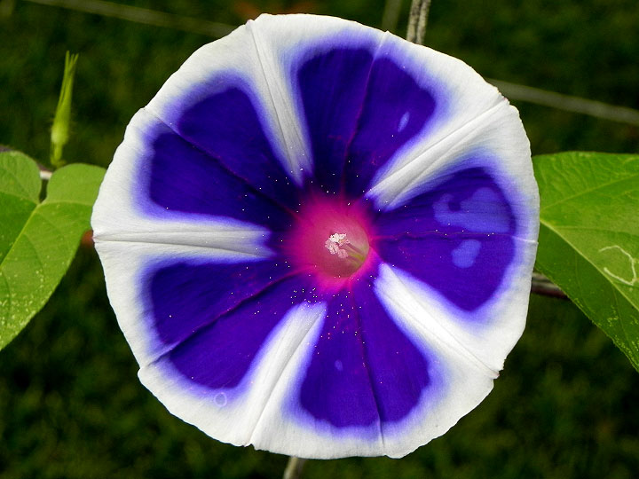 DSCN7662