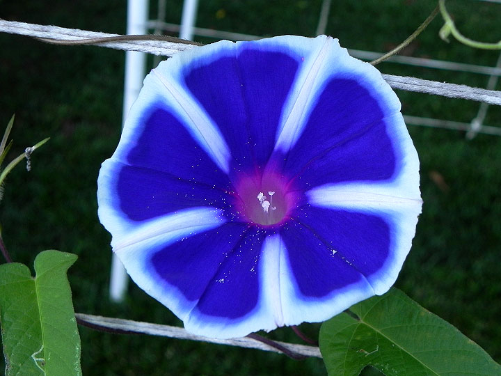 DSCN7718